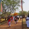 අළුත් සහල් මංගල්‍යය